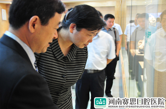 王艳玲副省长在参观赛思齿艺博物馆