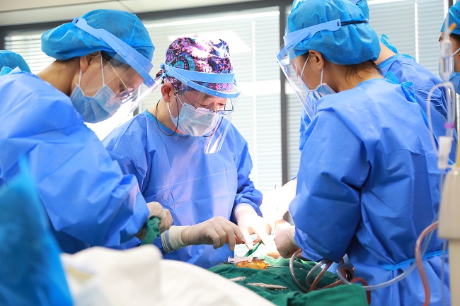 何宝杰院长（中）在原盛国际院区种植诊室开展全口种植一日重建手术