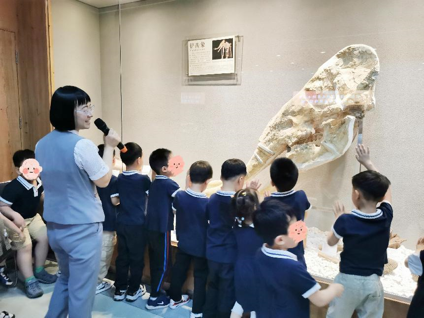 5·18国际博物馆日|开启一场“牙齿考古奇妙游”之旅